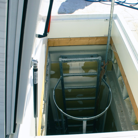 Dakluik met kooiladder