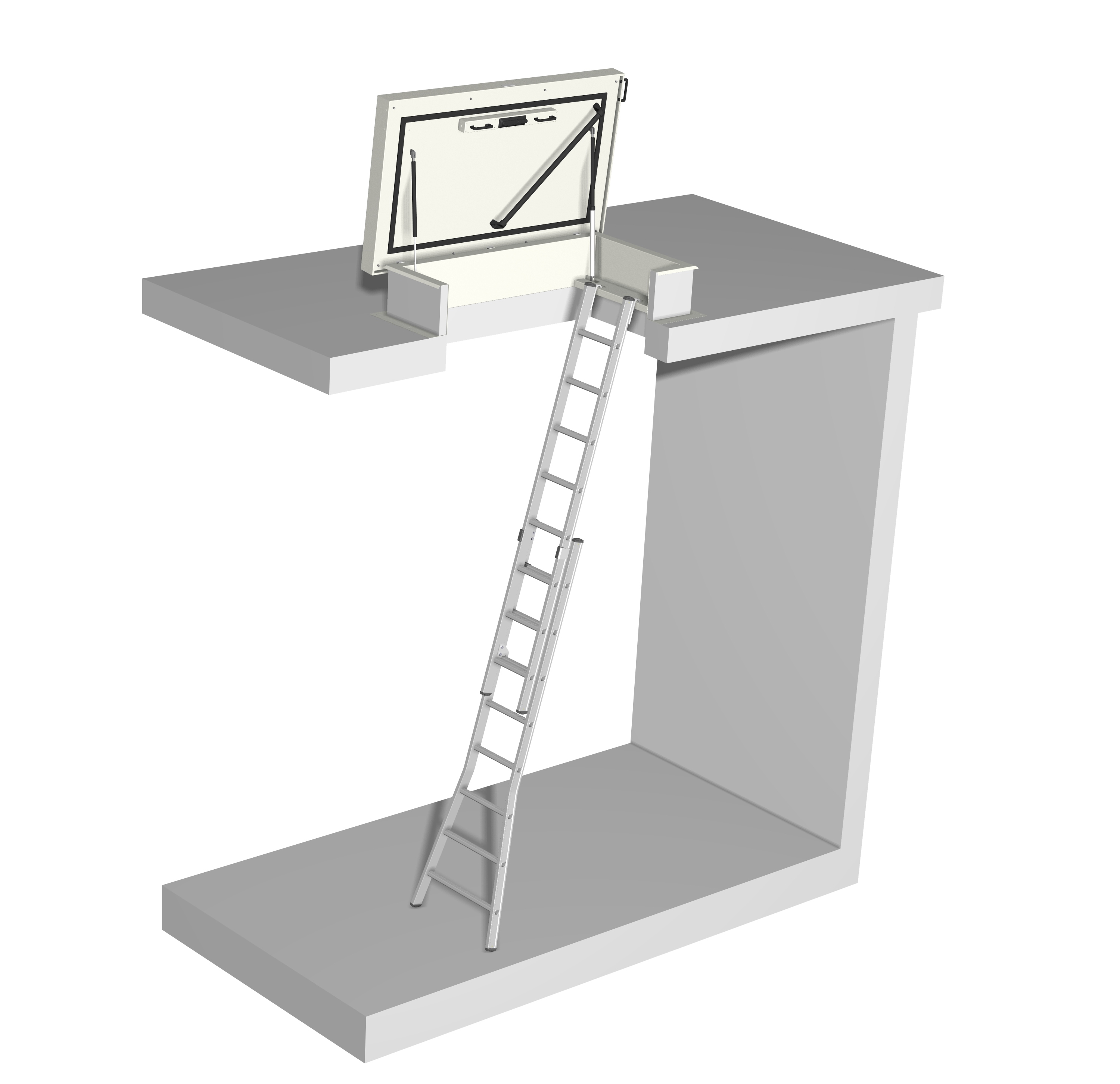 dakluik-met-ladder.jpg